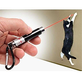 3 In 1 Kedi Lazer Oyuncağı