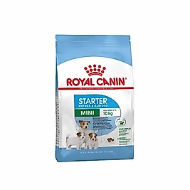 Royal Canin Mini Starter Köpek Maması 1 kg