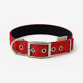 GEE’S™ Kemer Tokalı Boyun Tasması 45 cm