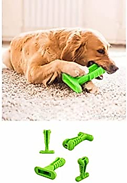 Köpek Diş Fırçası Isırma Aparatı Büyük Boy