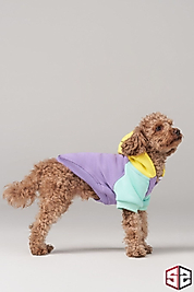 Salya Store Positive Vibes Küçük Irklar İçin Köpek Kıyafeti KK-127