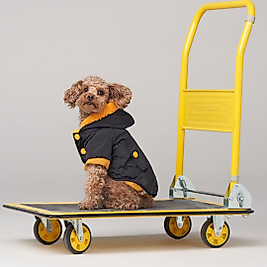 Midnight Design Köpek Su Geçirmez Mont Yağmurluk Km-101