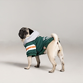Baseball Hoodie Köpek Kıyafeti Köpek Kapüşonlu Bsb101
