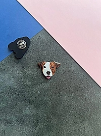 Jack Russell | Yaka Rozeti