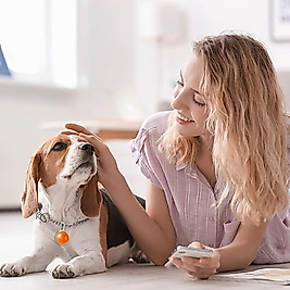 3 Fonksiyonlu Led Işıklı Evcil Hayvan Boyun Tasma Feneri