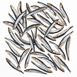 Hamsi Atıştırmalık Ödül Maması 80 GRAM Kediler İçin