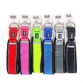Ally Paws Dog Collar Köpek Boyun Tasması Large 2,5cmx40-60cm