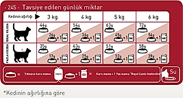 Royal Canin Fit 32 Yetişkin Kedi Maması 15 kg