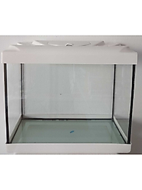 30 cm Renkli Kapak Akvaryum (30x13x26cm)