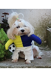 Taraftar SARI LACIVERT Onden Giydirmeli Köpek Kıyafeti Kostümü