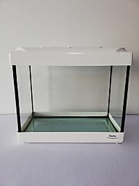 Mini Akvaryum 20X20X15 Akvaryum
