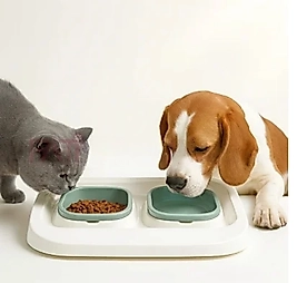 İki Bölmeli Siperli Mama Su Kabı Çınar