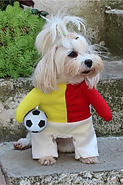 Taraftar SARI KIRMIZI Onden Giydirmeli Köpek Kıyafeti Kostümü