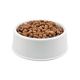 Pro Plan Kuzu Etli & Pirinçli Yetişkin Köpek Maması 1000 gr.