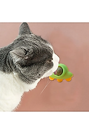 Yeni Model Uzay Catnip Kedi Çimi Topu Kedi Nanesi Oyuncağı Uzaygemi-catnip1