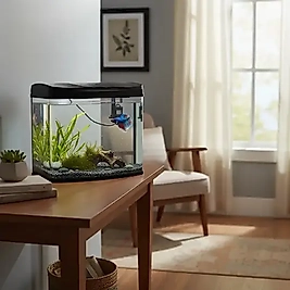 RS 230A Ledli Set Akvaryum Siyah 23x16x28 Cm