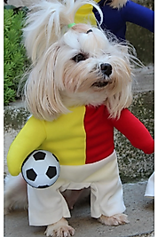 Taraftar SARI KIRMIZI Onden Giydirmeli Köpek Kıyafeti Kostümü