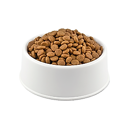 Royal Canin Sterilised Kısır Açık  Kedi Maması