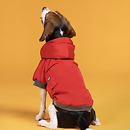 Intense Köpek Su Geçirmez Mont Yağmurluk Kk-117 Red