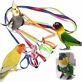 Ayarlanabilir Kuş Tasması