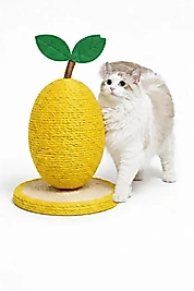 Hasır İp Limon Kedi Tırmalama Tahtası 18x25 CM (İTHAL)