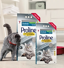 Proline Aktif Karbonlu Topraklanan Kedi Kumu (10 L)