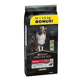 Pro Plan Adult Medium Kuzu Etli Yetişkin Köpek Maması 16.5 Kg Bonus