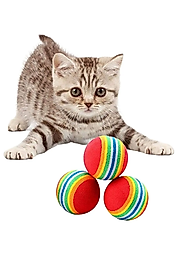 Sünger Kedi Köpek Çiğneme Ve Oyun Topu 1 adet