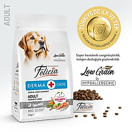 Felicia 3 Kg Kolajenli Somonlu Az Tahıllı M/Large Yetişkin Köpek Maması Breed HypoAllergenic Köpek Maması