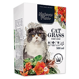 Nature Plan Kedi Çimi (500 g)