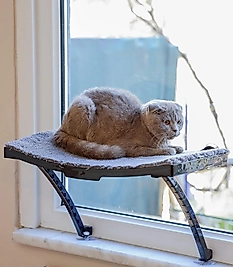 Cam Ve Duvar İçin Kedi Yatağı Vantuzlu