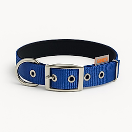 GEE’S™ Kemer Tokalı Boyun Tasması 40 cm