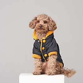 Midnight Design Köpek Su Geçirmez Mont Yağmurluk Km-101