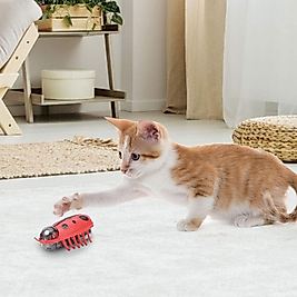 Mini Uğur Böceği Kedi Oyun Oyuncağı (Pilli)