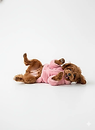 Furry Warmth Koleksiyonu - Polar Ceket Pembe (XS - S - M - L - XL)