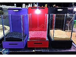 Işıklı Beta Akvaryum