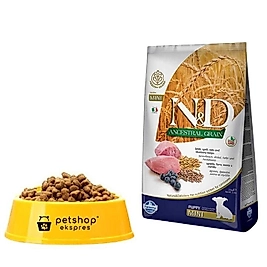 N&D Düşük Tahıllı Kuzu Etli Yaban Mersinli  Mini Irk Açık Yavru Köpek Maması