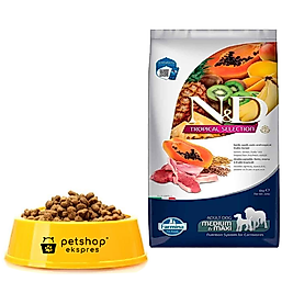 ND Tropical Meyveli Kuzu Etli Orta ve Büyük Irk Açık Köpek Maması