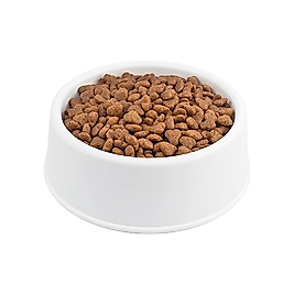 Lavital Sterilised Somonlu Kısırlaştırılmış Kedi Maması 1000 gr.