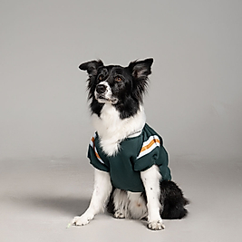 Baseball Hoodie Köpek Kıyafeti Köpek Kapüşonlu Bsb101