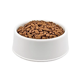 ProPlan Puppy Medium Somonlu Yavru Köpek Maması 1000 gr.