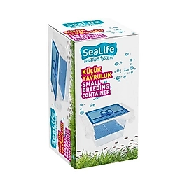 Atlantik Ikili Kristal Balık Yavruluk 14,5 cm x 10 cm