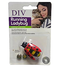 Mini Uğur Böceği Kedi Oyun Oyuncağı (Pilli)