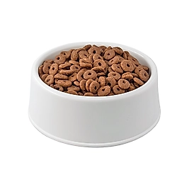 Royal Canin Fit32 Açık Yetişkin Kedi Maması