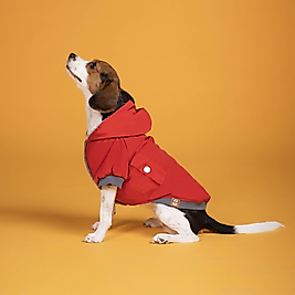 Intense Köpek Su Geçirmez Mont Yağmurluk Kk-117 Red